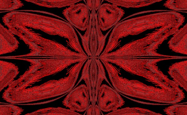 Red Butterfly  Digital Download